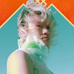 Vincent Aire